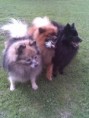/album/skupinky/vlegenda-jpg/